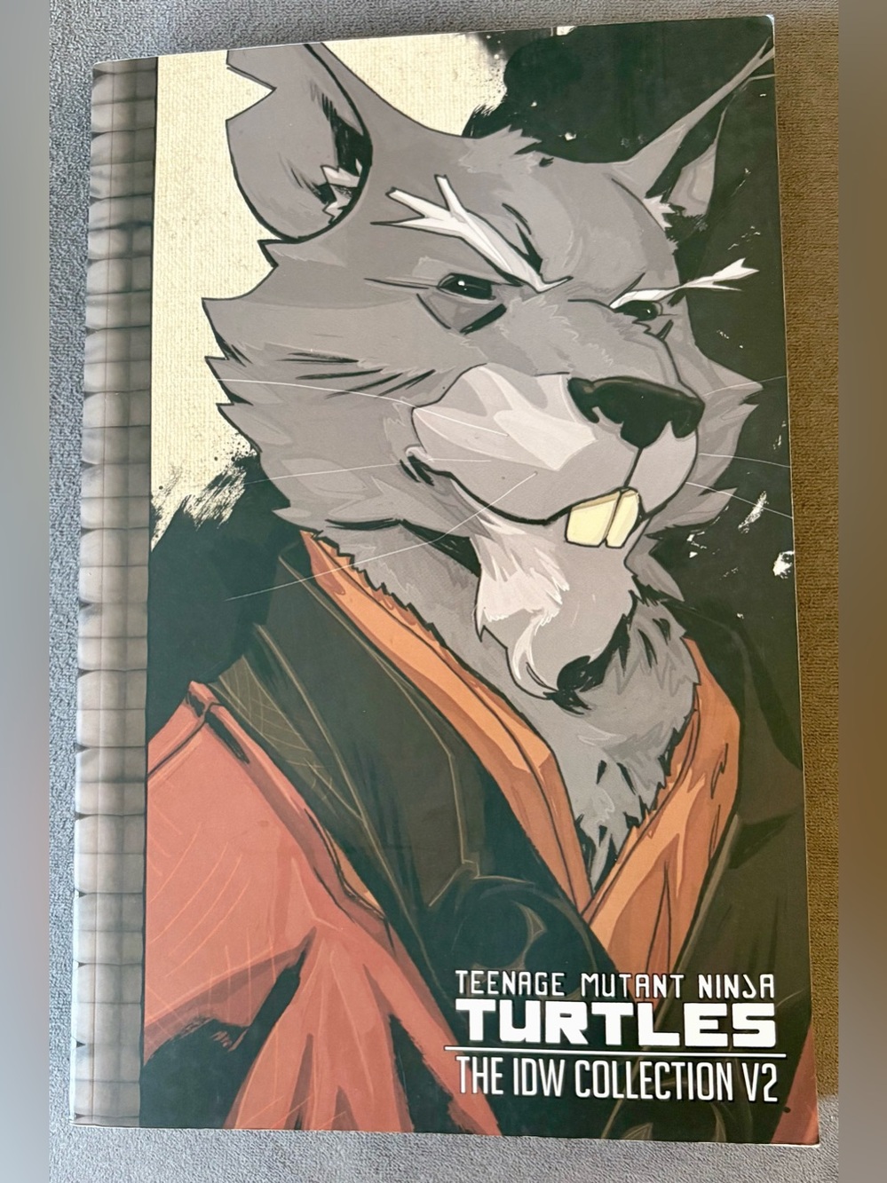 Teenage Mutant Ninja Turtles: The IDW Collection Volume 2 (TMNT IDW Collection),
